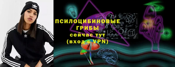 кристаллы Покачи