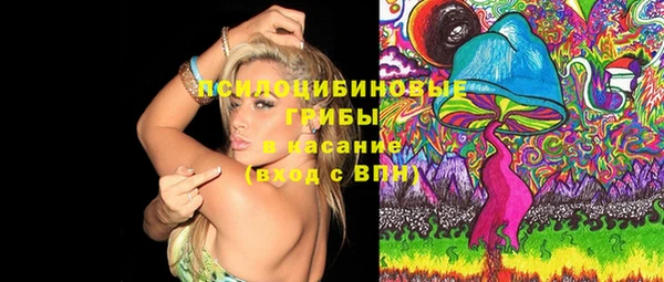 ешки Алзамай