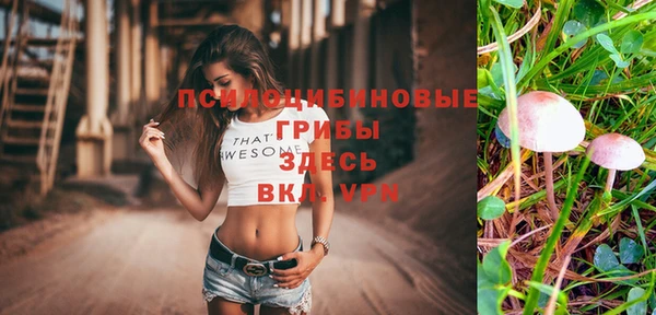 герыч Алексеевка