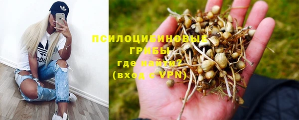 ешки Алзамай