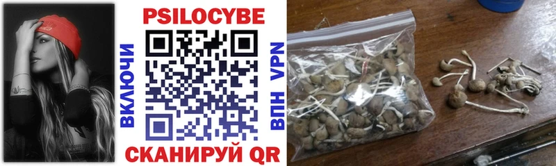 Галлюциногенные грибы Cubensis  мега зеркало  Петровск-Забайкальский 